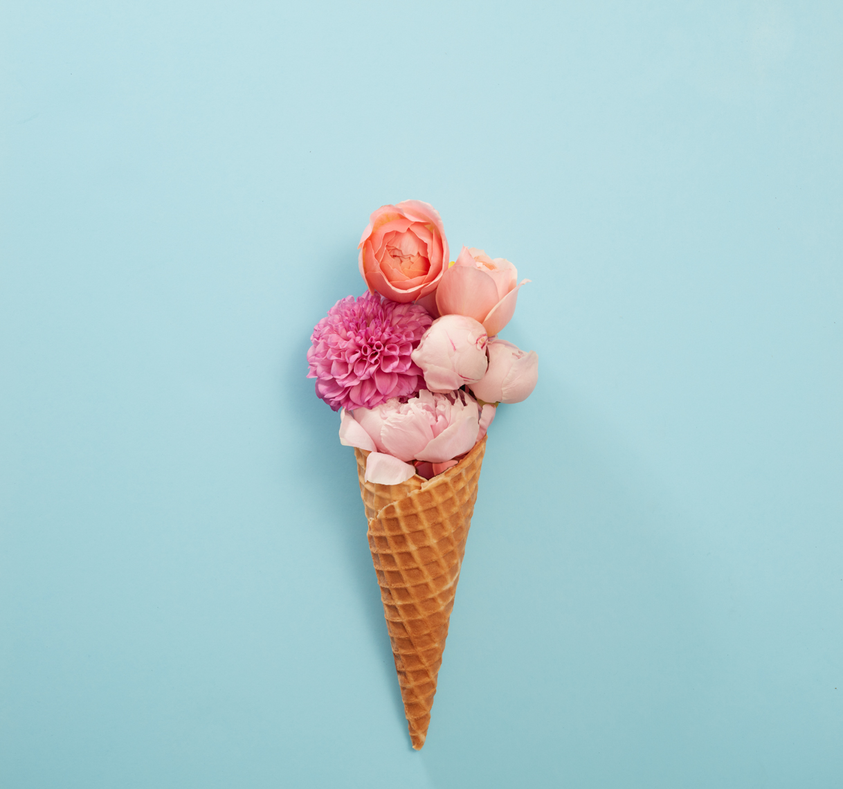 Flower ice cream cone on blue Philip Harvey Photography, San Francisco