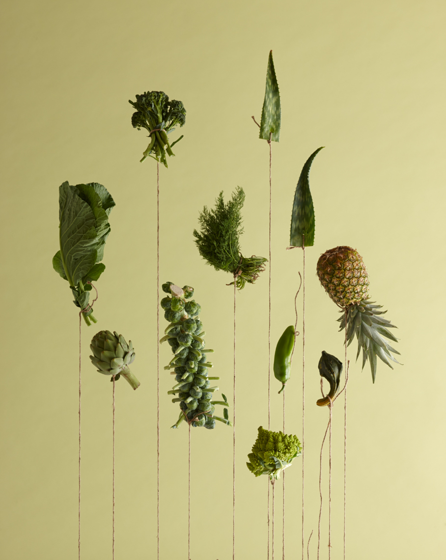 individual green fruits and vegetables hanging from string San Francisco food photographer