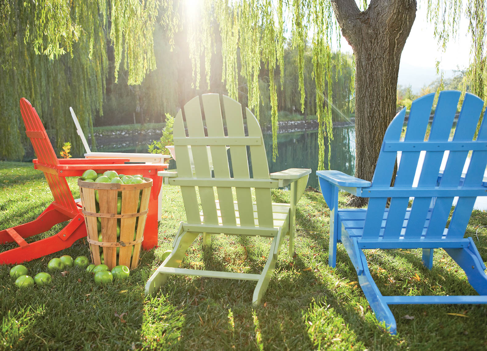 Red Green And Blue Adirondack Chairs In Grass Under Willow Tree